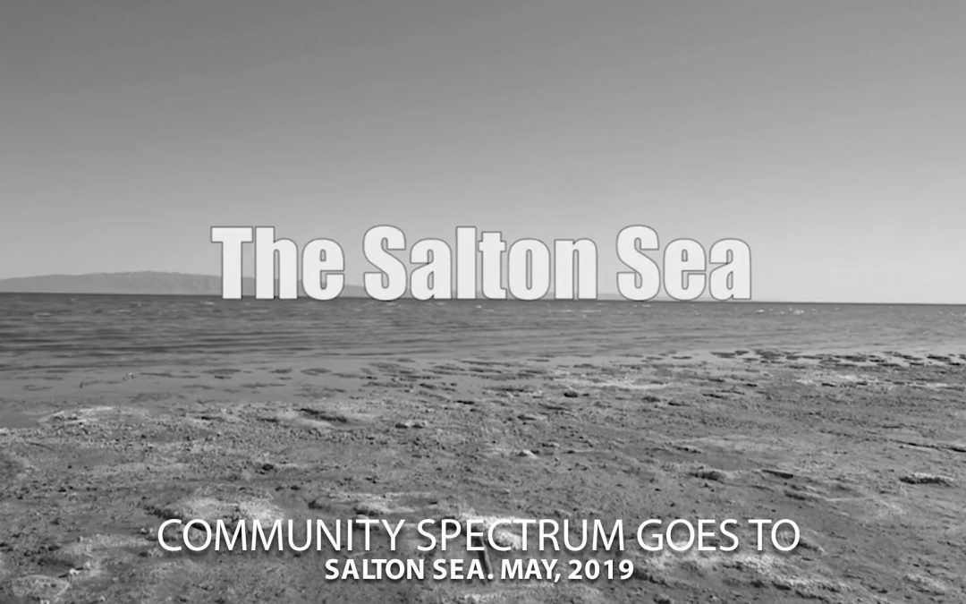 Salton Sea. May, 2019