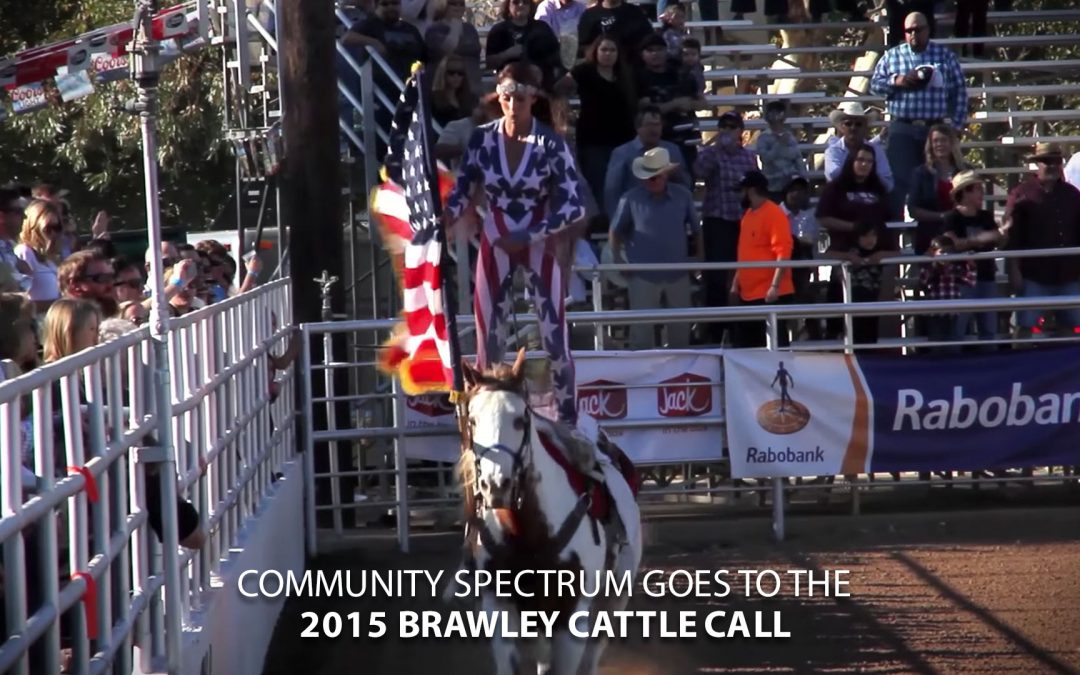 2015 Brawley Cattle Call