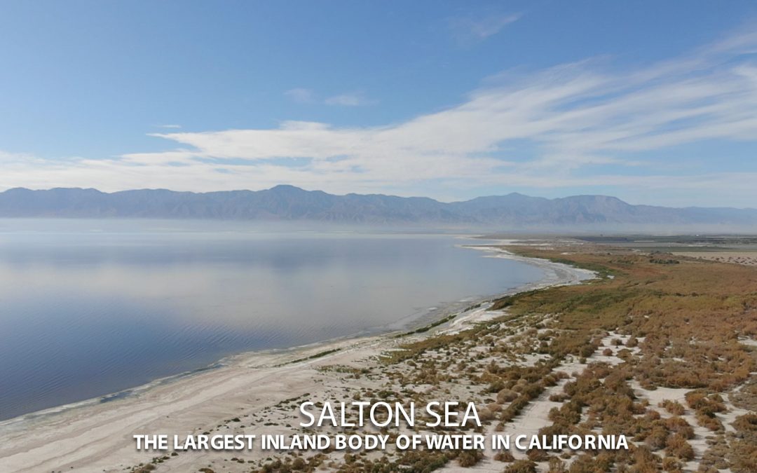 Salton Sea January 2021