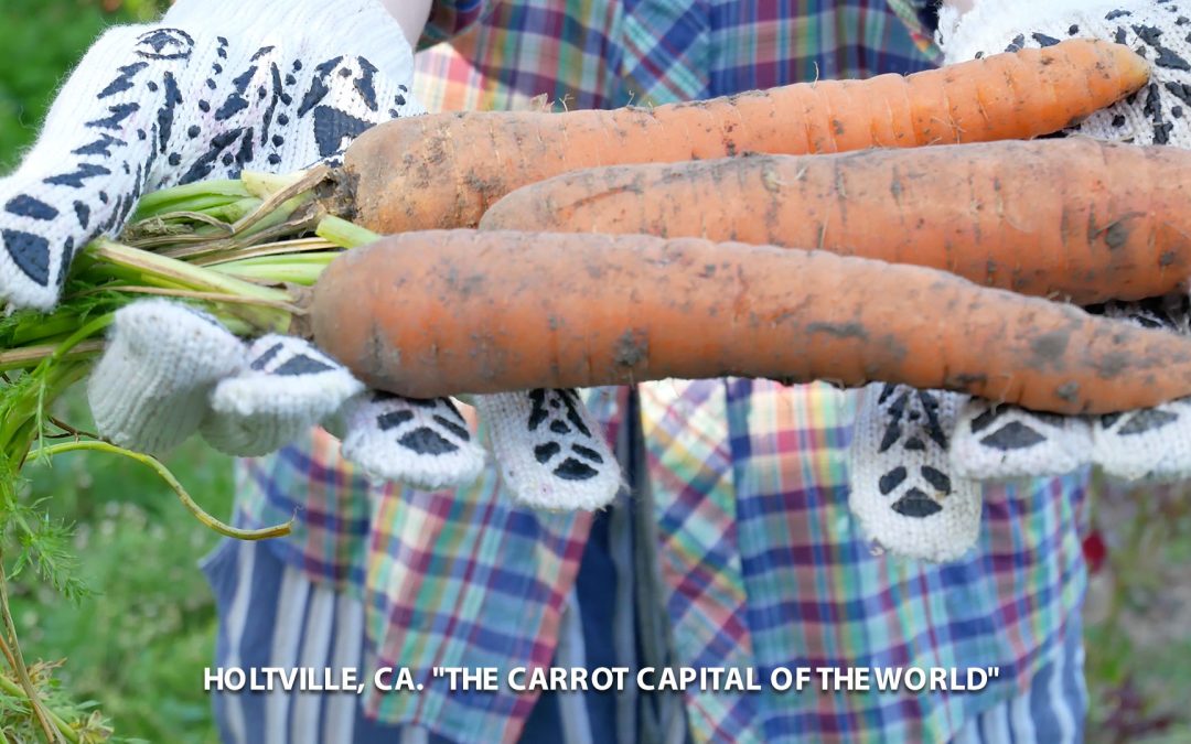 2021 Annual Holtville Carrot Festival