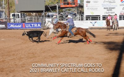 2021 Brawley Cattle Call Rodeo