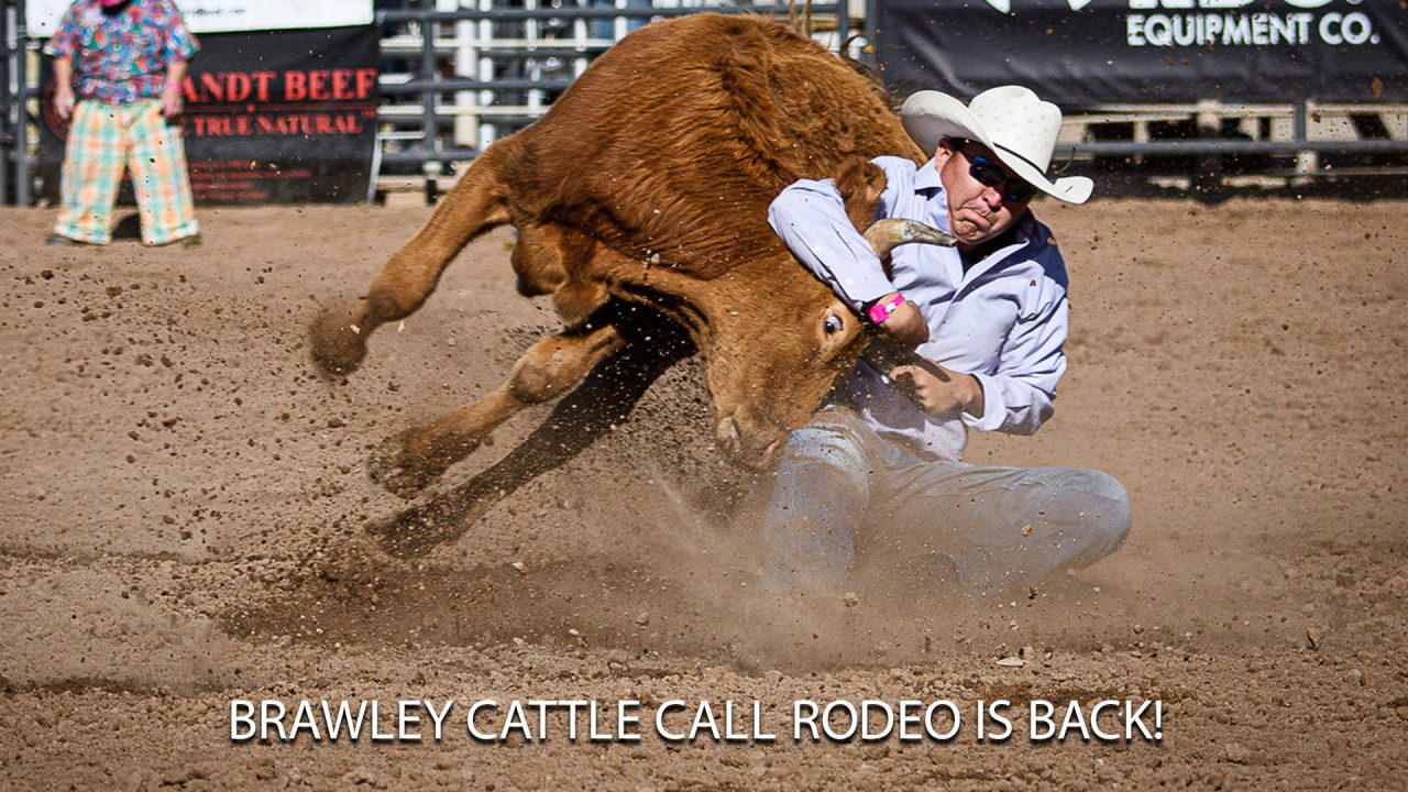 Brawley Cattle Call Is Back! Community Spectrum