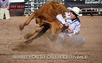 Brawley Cattle Call Is Back!