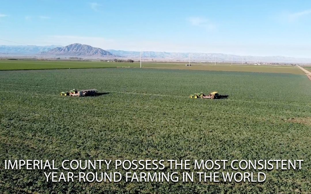 Imperial County possess the most consistent year-round farming in the world!