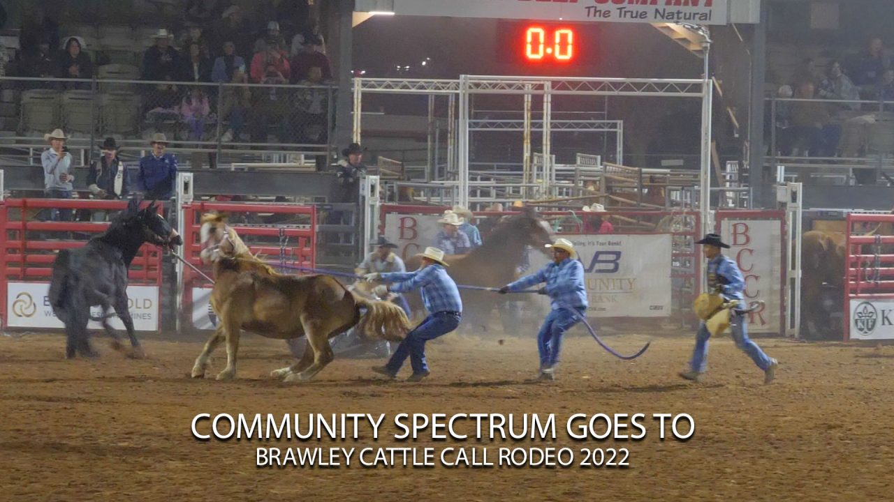 Brawley Cattle Call Rodeo 2022 Community Spectrum