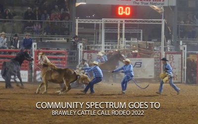 Brawley Cattle Call Rodeo 2022