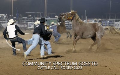Cattle Call Rodeo 2023